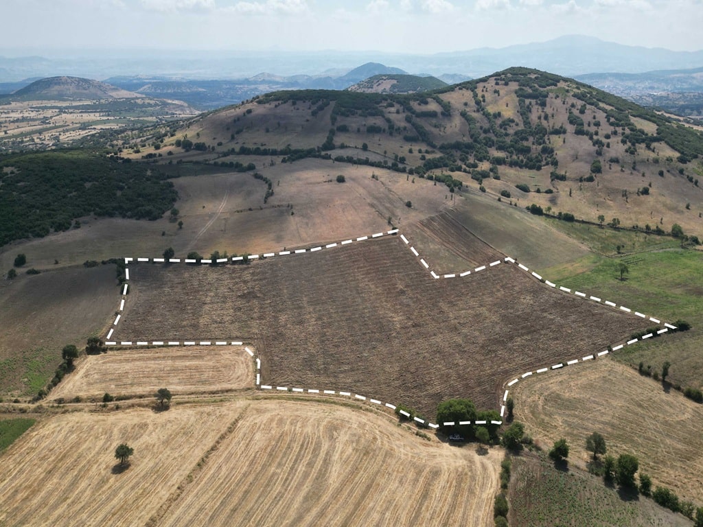 29,893 sqm Flat, Fertile, and Easily Accessible Agricultural Land